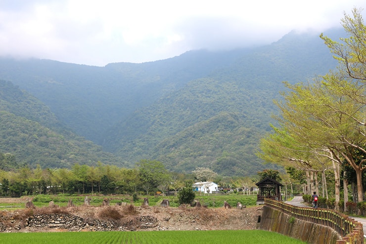台東・關山のサイクリングロードから望む稲作地帯の風景
