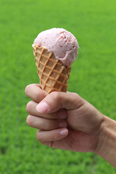 台東・關山のサイクリングロードでいただくストロベリーアイスクリーム