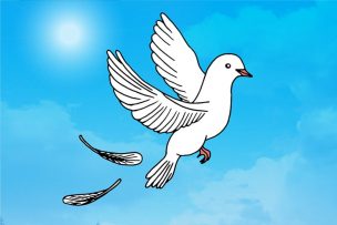 空に羽ばたく白い鳩