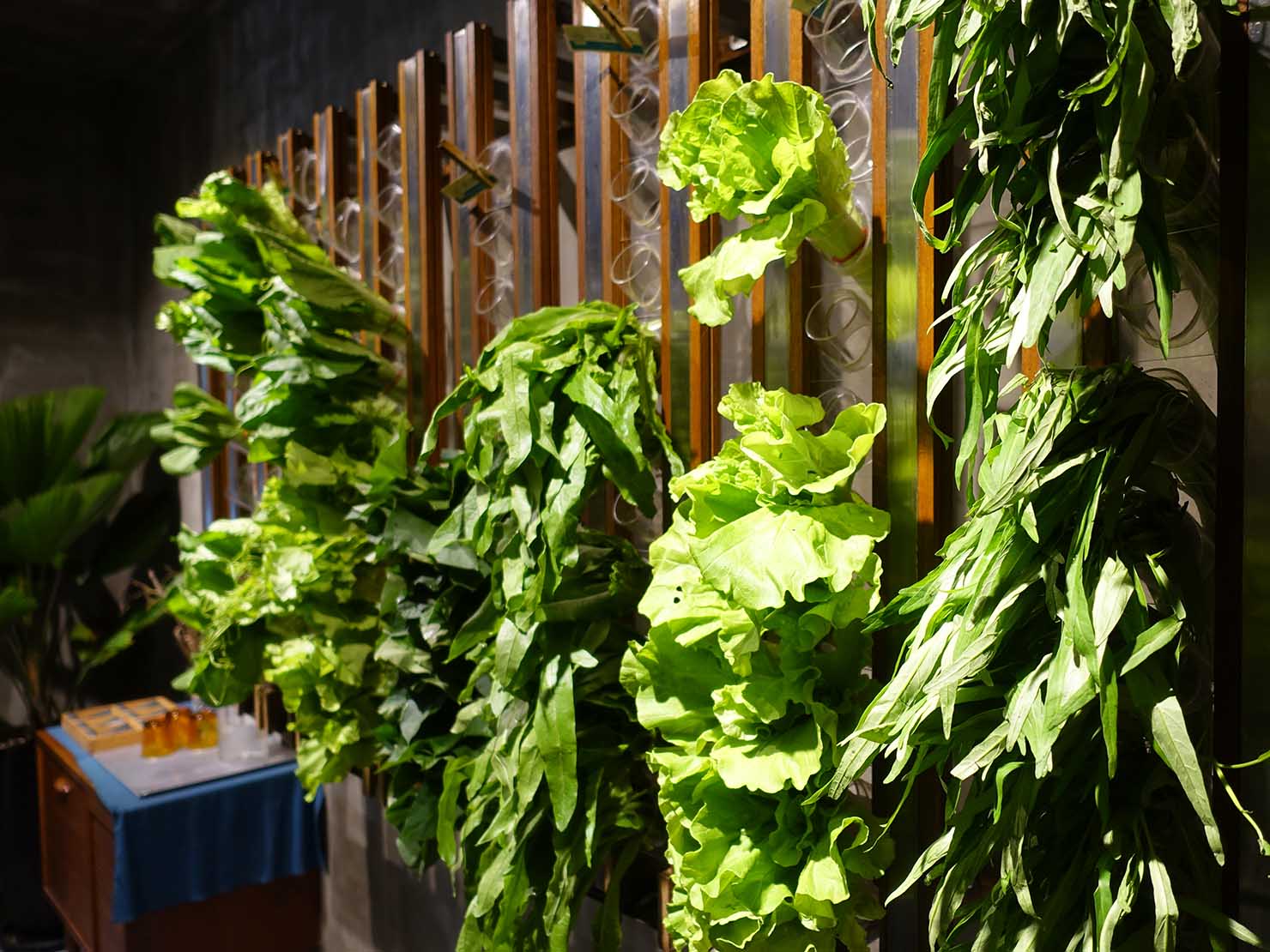 台北・國父紀念館のおすすめグルメ店「VEGE CREEK」の店内に並ぶ葉物野菜たち