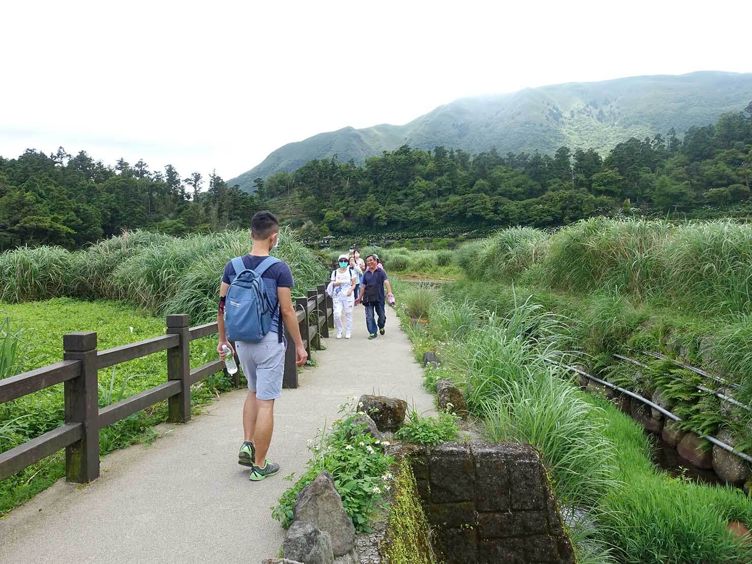 台北・陽明山のおすすめスポット「竹子湖」の遊歩道