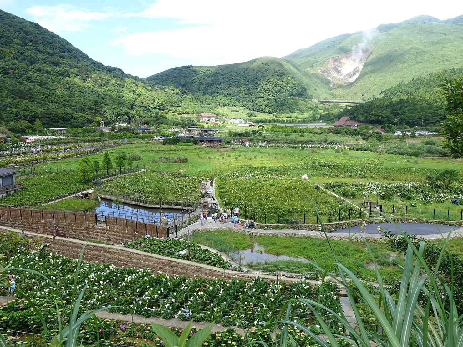 台北・陽明山のおすすめスポット「竹子湖」