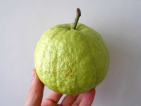 台湾でよく見かけるフルーツ「芭樂(グアバ)」