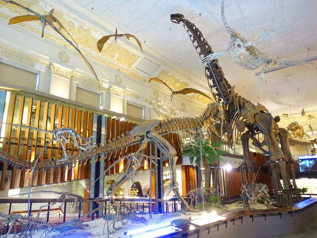 台北駅前エリアで巡りたい博物館「勸業銀行舊廈（國立臺灣博物館 古生物館）」の恐竜模型