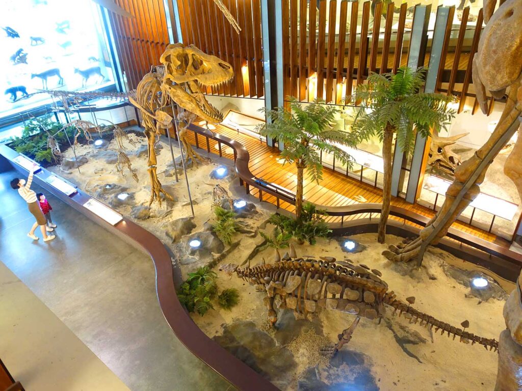 台北駅前エリアで巡りたい博物館「勸業銀行舊廈（國立臺灣博物館 古生物館）」の恐竜模型展示スペース