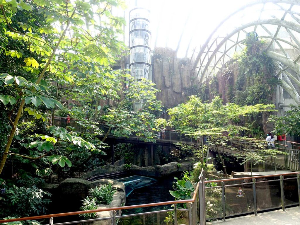 台北の動物園「臺北市立動物園」熱帶雨林區のドーム