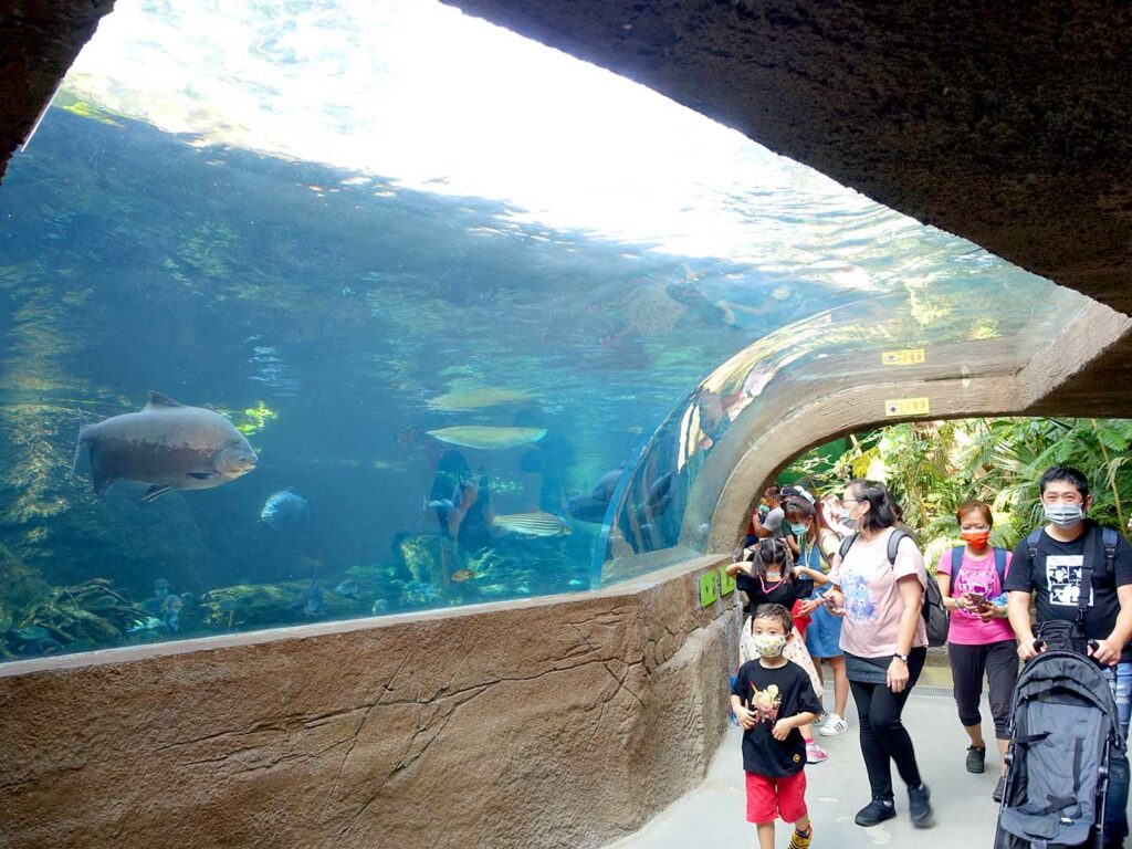台北の動物園「臺北市立動物園」熱帶雨林區の水槽