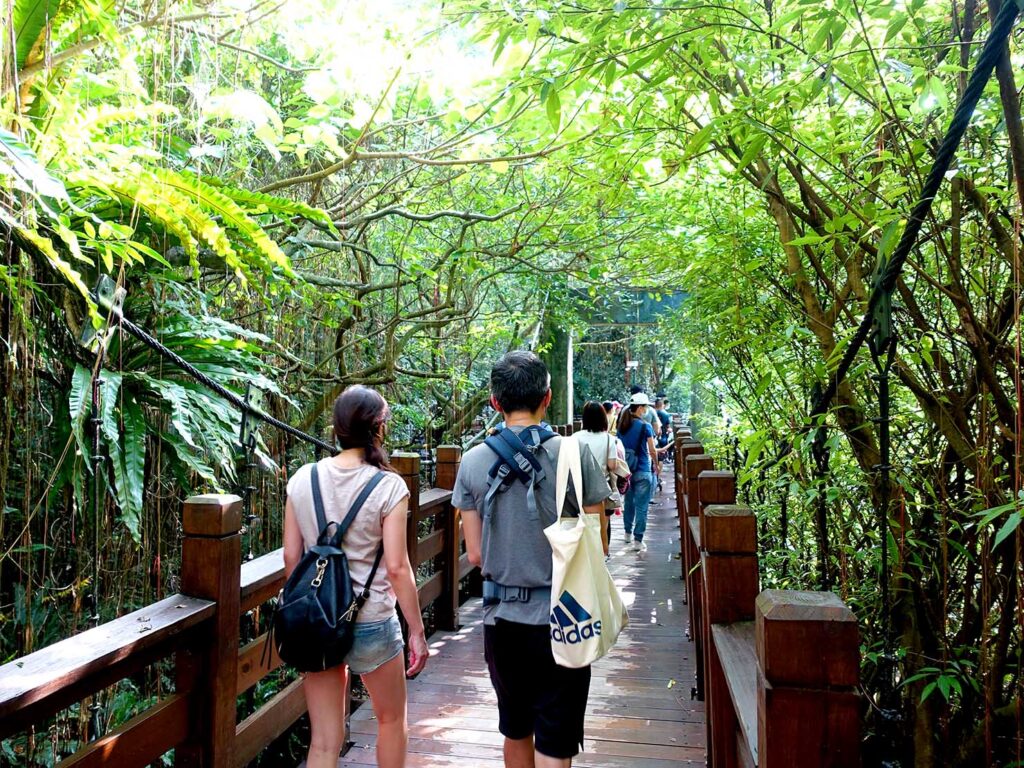 台北の動物園「臺北市立動物園」熱帶雨林區の吊り橋