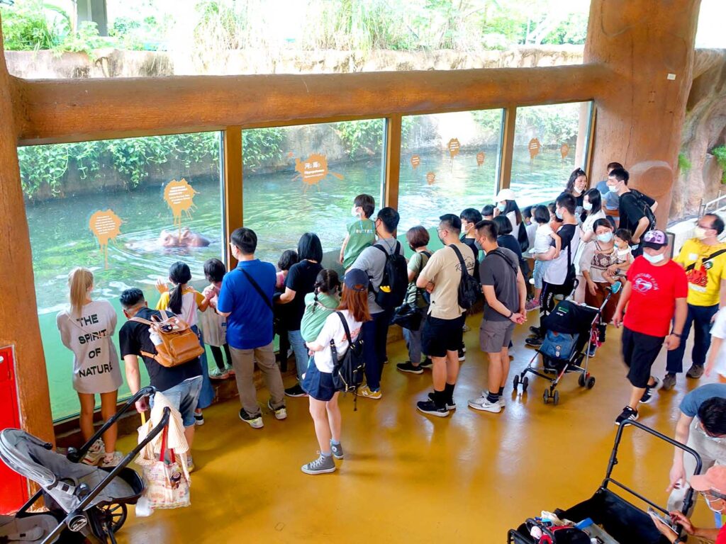 台北の動物園「臺北市立動物園」非洲區のカバの水槽