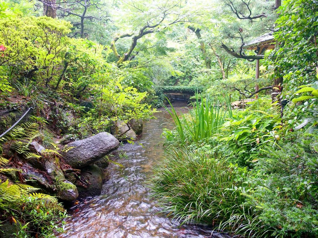 松山・道後温泉のおすすめ旅館「ふなや」の日本庭園に流れる小川