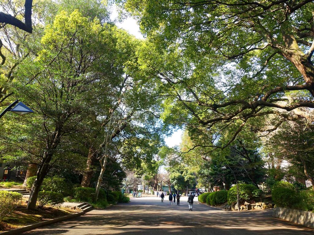 東京・上野公園の緑