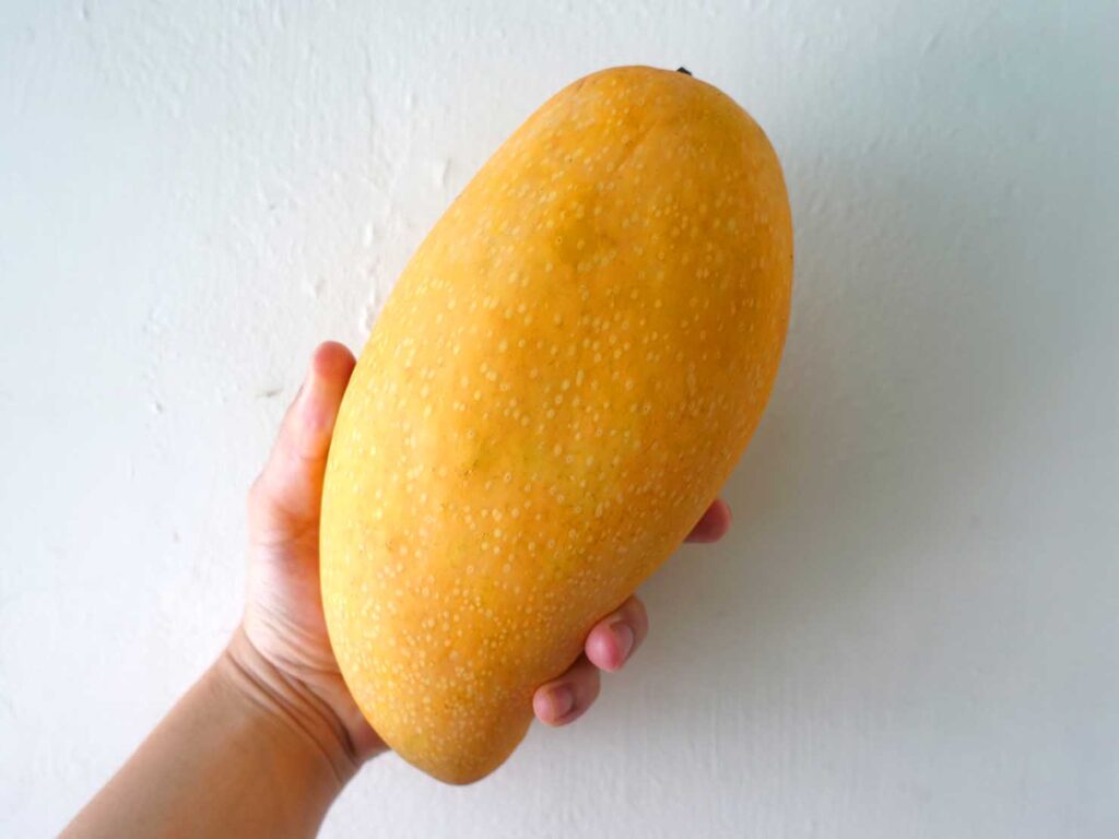 台湾生活で食べたマンゴー「金煌芒果」