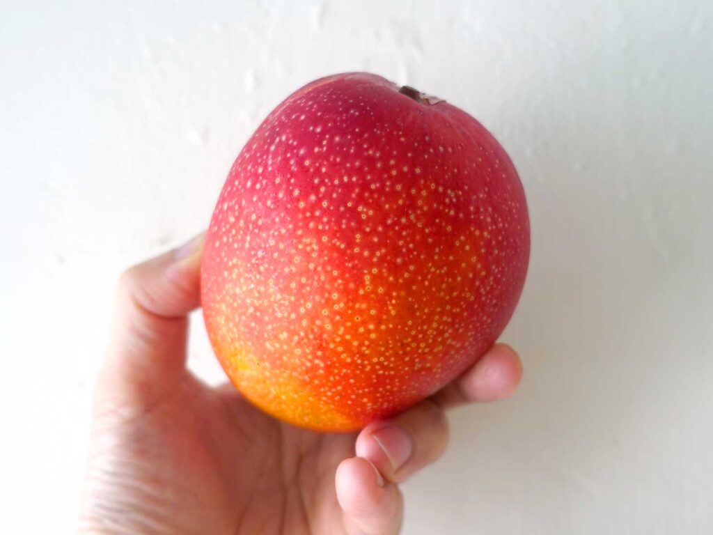台湾生活で食べたマンゴー「愛文芒果」