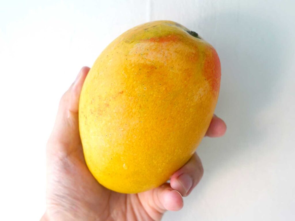 台湾生活で食べたマンゴー「夏雪芒果」