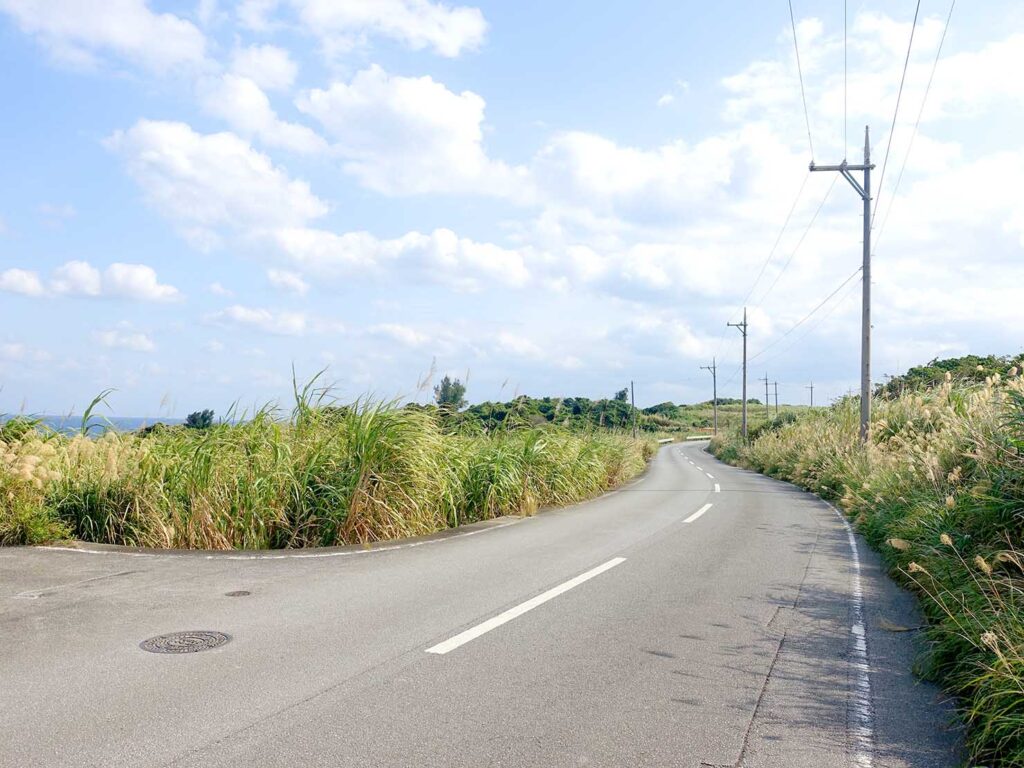 沖縄・古宇利島のさとうきび畑